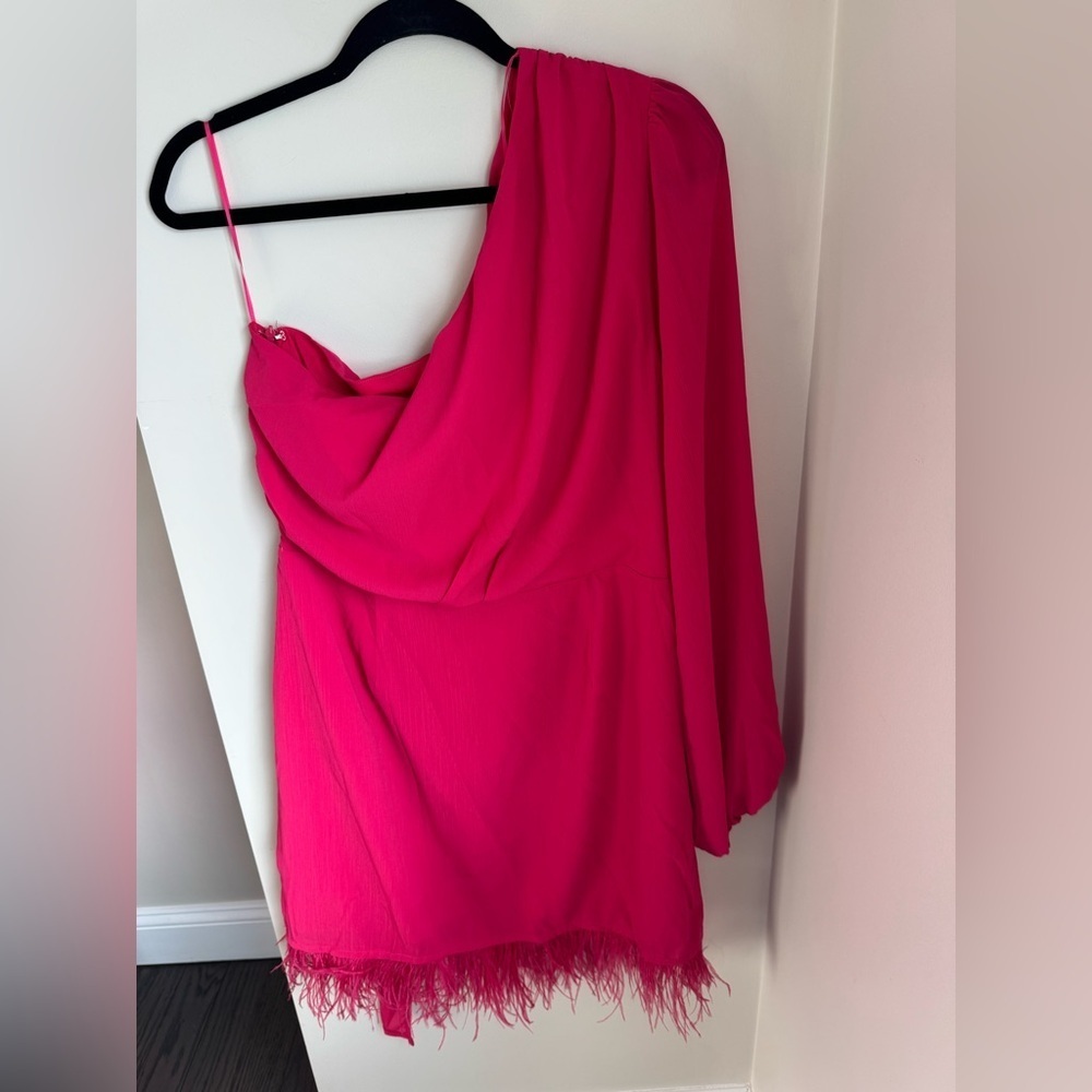 Vici Las Vegas One Shoulder Fringe Trim Pink Mini Dress XL - Picture 12 of 12